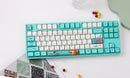 Akko Monets Pond 5087S VIA QMK Wired RGB Hot-Swappable Mechanical Keyboard | DataBlitz