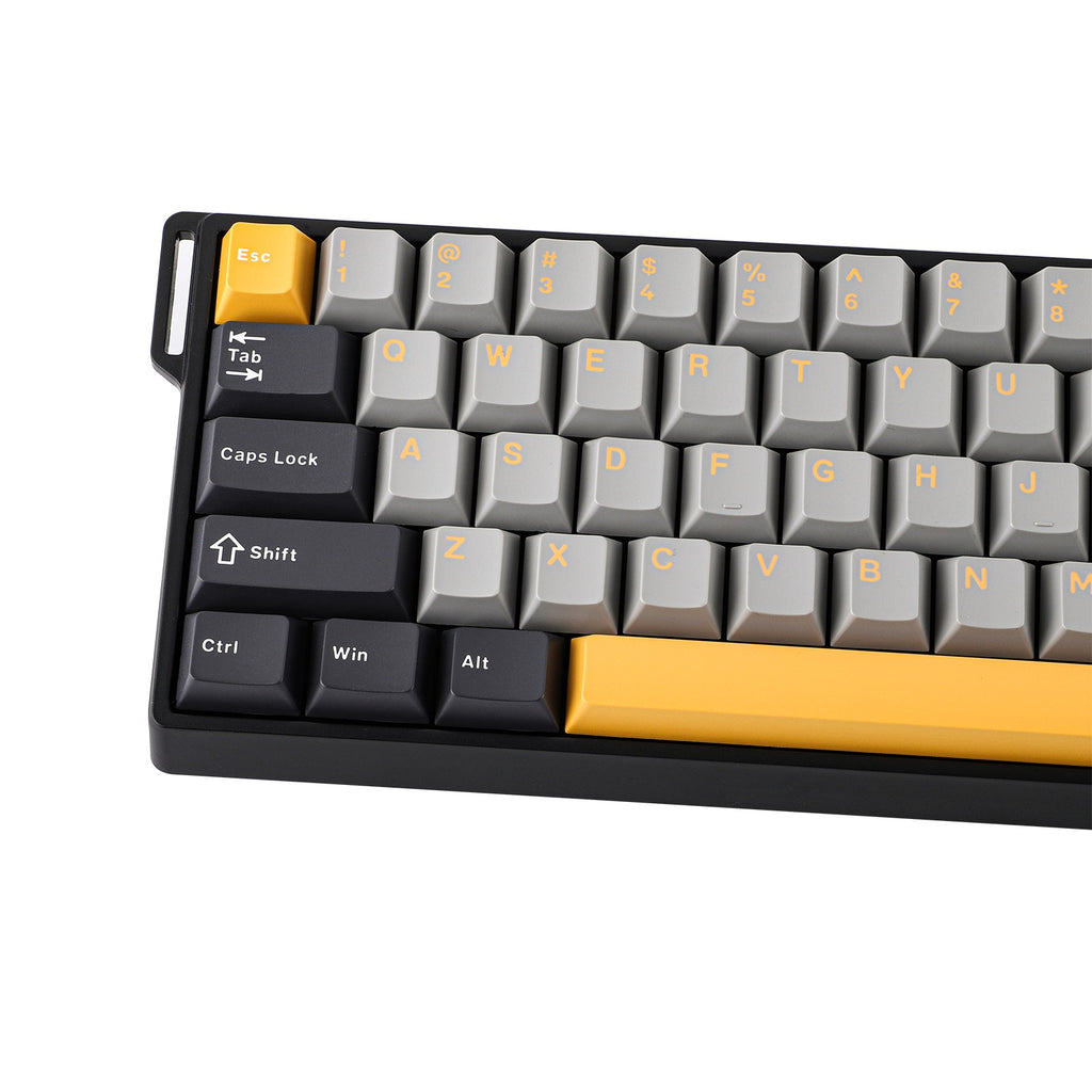 Win68 Keyboard Aula WIN68HE 68-Key RGB 65% Wired Magnetic Switch Gaming Keyboard (Wing ...