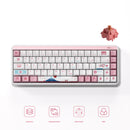 Akko JIN01 Tokyo Aluminum Case Multi-Mode RGB Hot-Swappable Mechanical Keyboard (Akko Rosewood Switch)