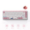 Akko JIN01 Tokyo Aluminum Case Multi-Mode RGB Hot-Swappable Mechanical Keyboard (Akko Rosewood Switch)