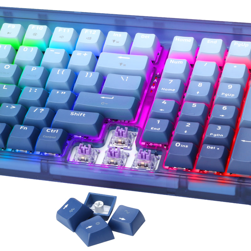 Redragon Garen Pro 100-Keys Hot-Swappable RGB Wireless Mechanical Keyboard