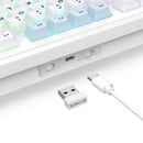 Redragon Cyclone Pro K716 RGB Hot-Swappable Gasket Mounted TKL Horizontal Knob Mechanical Keyboard
