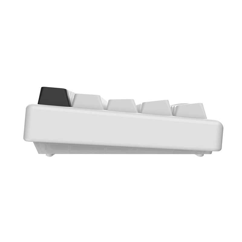 Arbiter Studio Polar 65 Pro Magnetic Gaming Keyboard (Kitsune White)