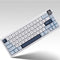 Ajazz AK650 RGB Wired 66-Key Gasket-Mounted Hot-Swappable Mechanical Keyboard
