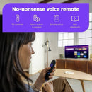 Roku Streaming Stick HD with Voice Remote