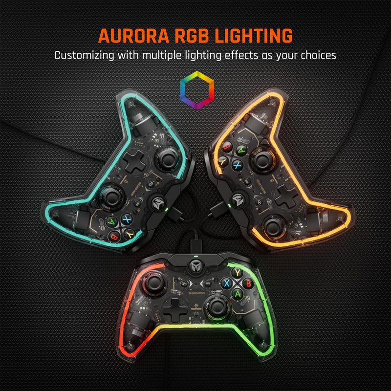 Bigbig Won Rainbow Lite Wired Gaming Controller for Win 10&11 / Switch