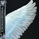 Premium Masterline Saint Seiya Cygnus Hyoga "Final Bronze Cloth"