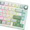 Royal Kludge R75 QMK Single-Mode RGB 81 Keys Hot-Swappable Mechanical Keyboard Sky Cyan