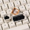 Keychron K10 HE Special Ed. Full Size Wireless Magnetic Switch Custom Keyboard - White