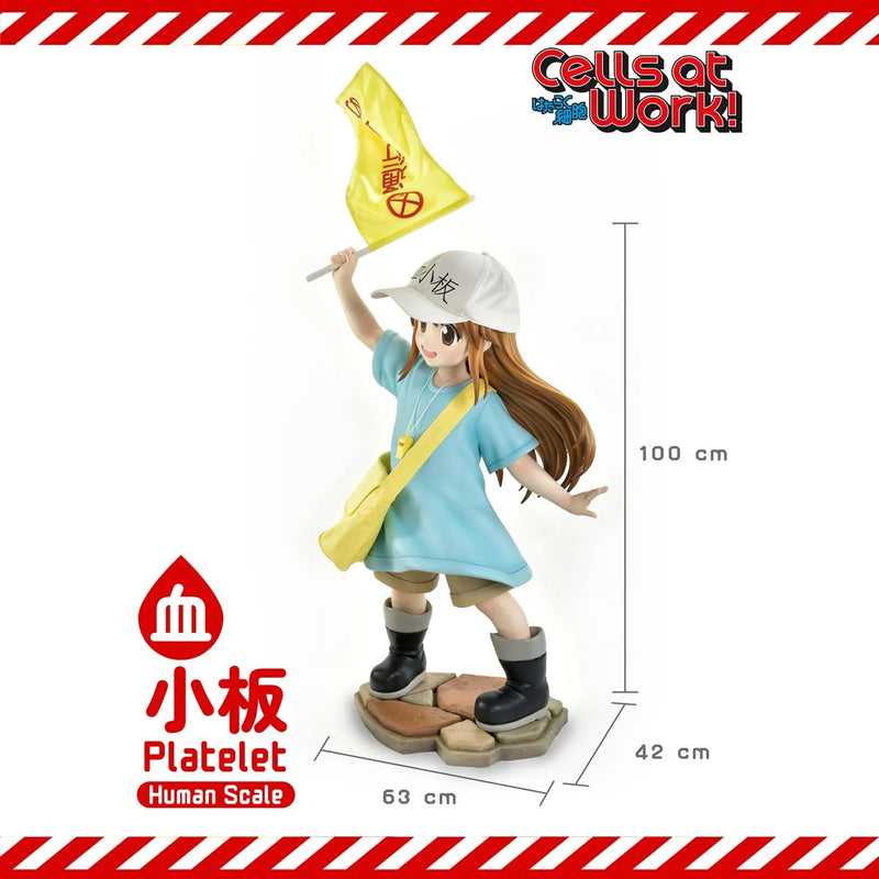 Life Scale Masterline Cells at Work Platelet | DataBlitz