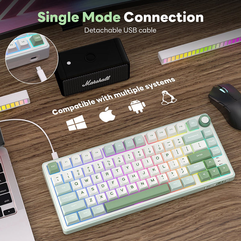 Royal Kludge R75 QMK Single-Mode RGB 81 Keys Hot-Swappable Mechanical Keyboard Sky Cyan