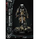 Museum Masterline Alien vs. Predator (Film) Celtic Predator Bonus