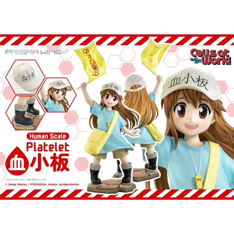 Life Scale Masterline Cells at Work Platelet | DataBlitz