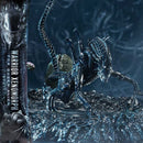 Ultimate Diorama Masterline Aliens (Film) Warrior Xenomorph for Queen Alien