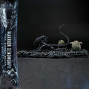 Ultimate Diorama Masterline Aliens (Film) Warrior Xenomorph for Queen Alien