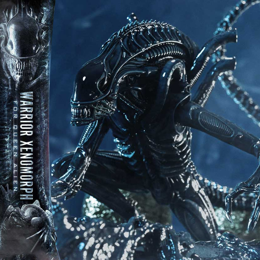 Ultimate Diorama Masterline Aliens (Film) Warrior Xenomorph for Queen Alien