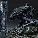 Ultimate Diorama Masterline Aliens (Film) Warrior Xenomorph for Queen Alien