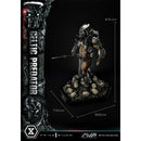 Museum Masterline Alien vs. Predator (Film) Celtic Predator Bonus