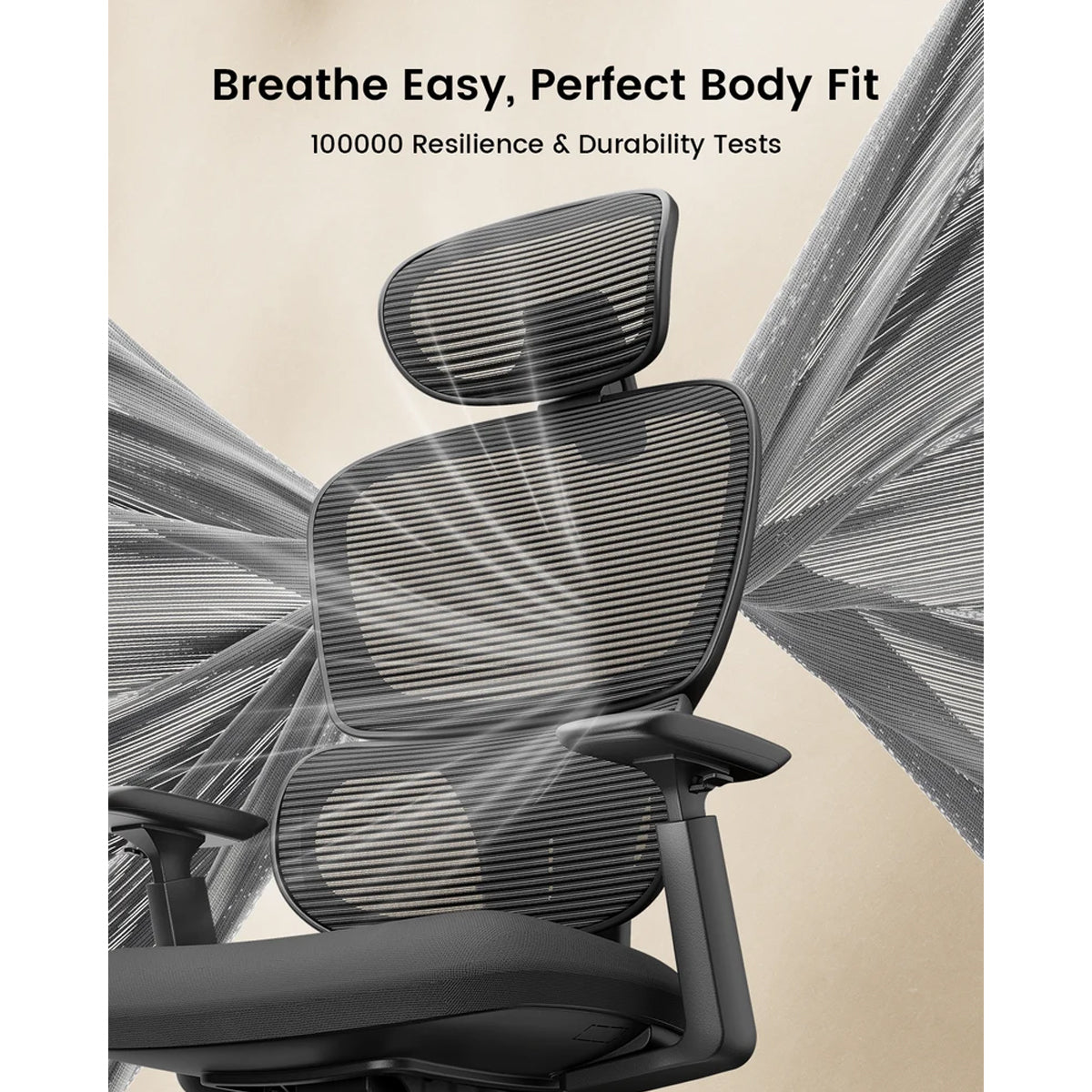 ProtoArc EC300 Ergonomic Mesh Office Chair (Black) (CP016909)