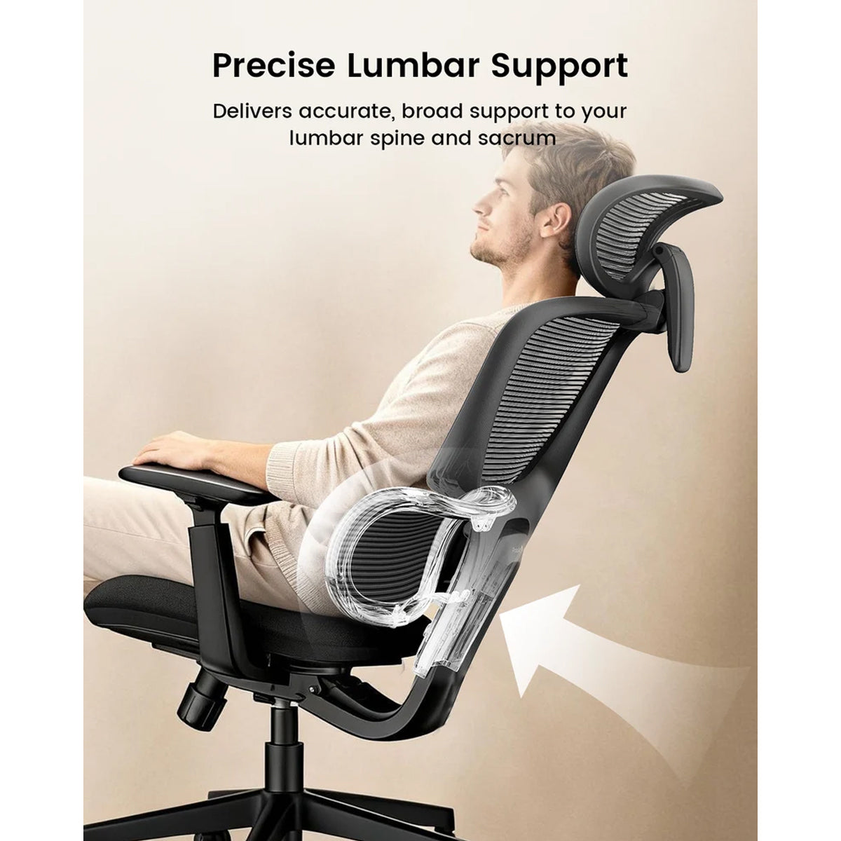 ProtoArc EC300 Ergonomic Mesh Office Chair (Black) (CP016909)