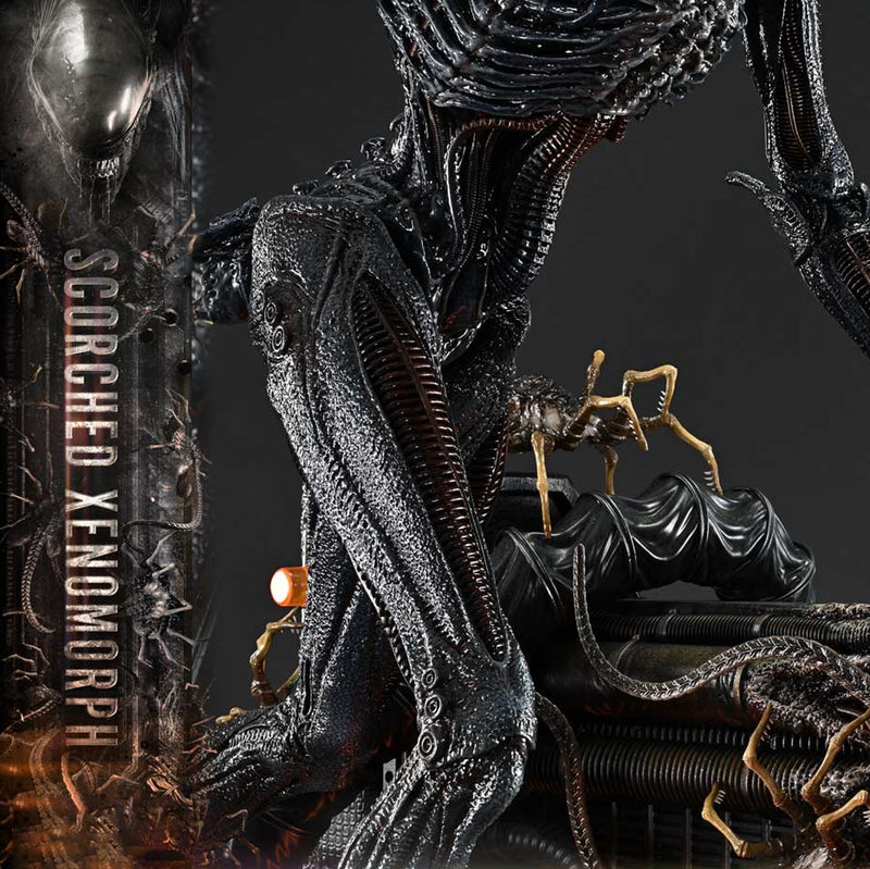Museum Masterline XL Alien: Romulus Scorched Xenomorph