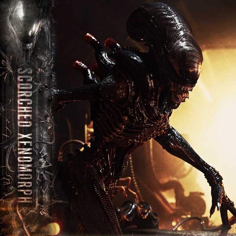 Museum Masterline XL Alien: Romulus Scorched Xenomorph