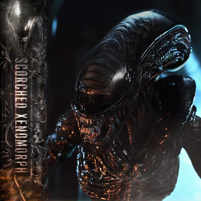 Museum Masterline XL Alien: Romulus Scorched Xenomorph