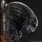 Museum Masterline XL Alien: Romulus Scorched Xenomorph