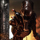 Museum Masterline XL Alien: Romulus Scorched Xenomorph