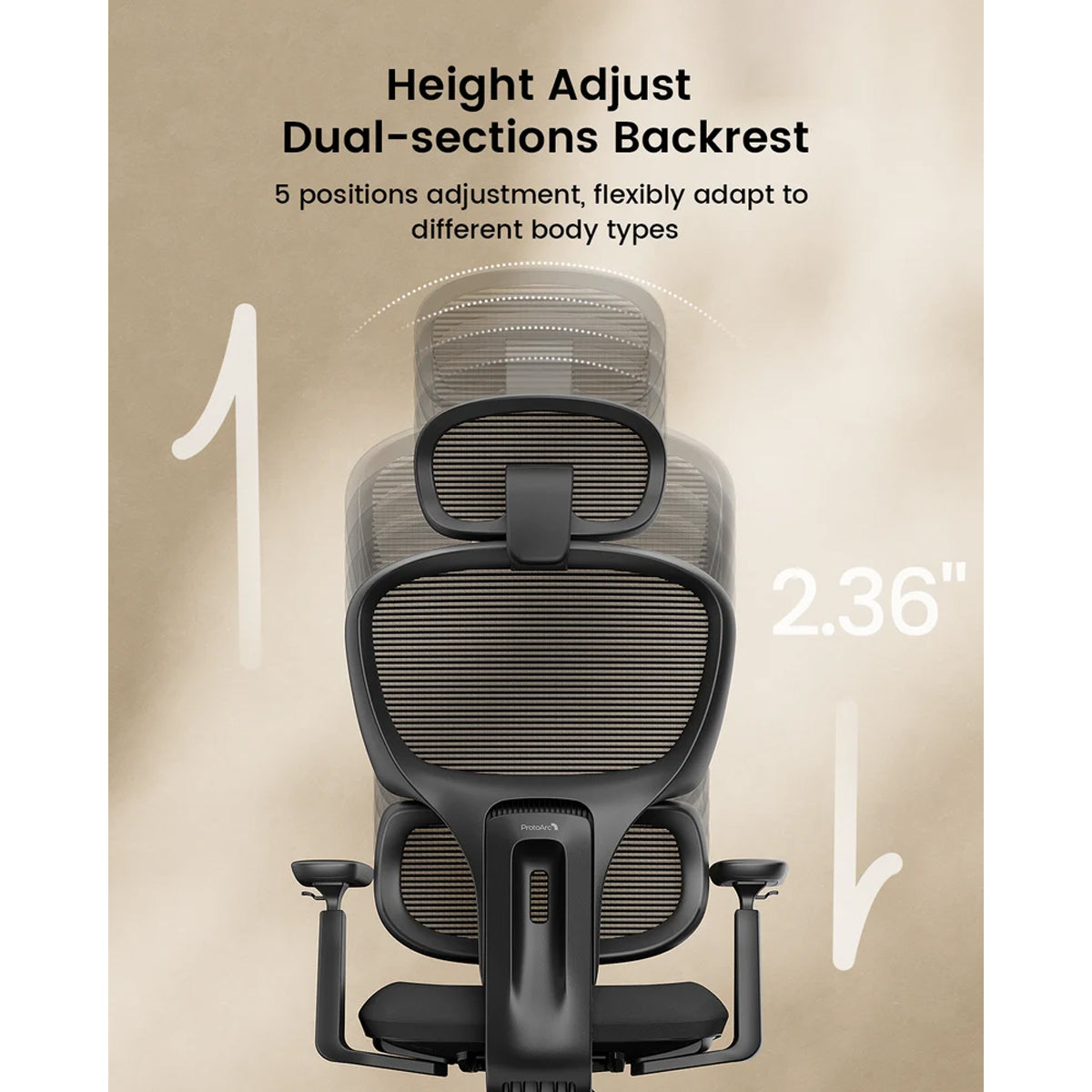 ProtoArc EC300 Ergonomic Mesh Office Chair (Black) (CP016909)
