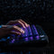 8Bitdo Retro 87 Mechanical Keyboard Mecha Break Panther Edition (85HD)