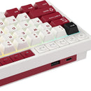 Royal Kludge RK M65 Tri-Mode RGB 66 Keys Hot-Swappable Mechanical Keyboard Famicom (Cream Switch, Beige Switch)