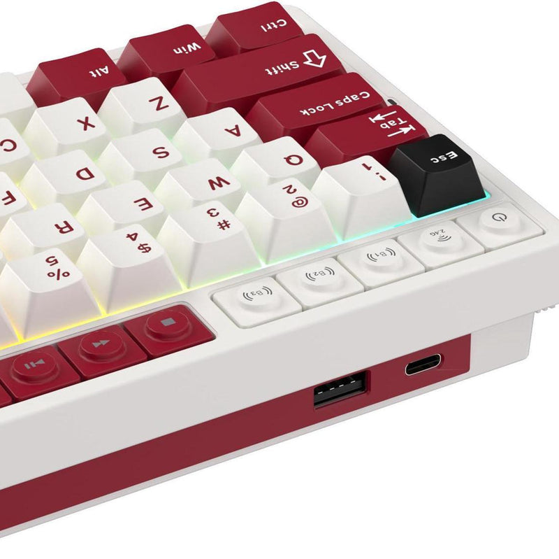 Royal Kludge RK M65 Tri-Mode RGB 66 Keys Hot-Swappable Mechanical Keyboard Famicom (Cream Switch, Beige Switch)