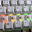 Royal Kludge RK L75 Tri-Mode RGB 85 Keys Hot-Swappable Mechanical Keyboard Palm Green