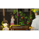 PS5 Persona 4 Revival