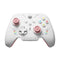 Bigbig Won Rainbow 2 SE Wireless Gaming Controller