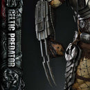 Museum Masterline Alien vs. Predator (Film) Celtic Predator Bonus