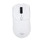 Aula Wind SC580X Wireless & Wired Gaming Mouse