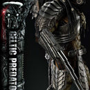 Museum Masterline Alien vs. Predator (Film) Celtic Predator Bonus