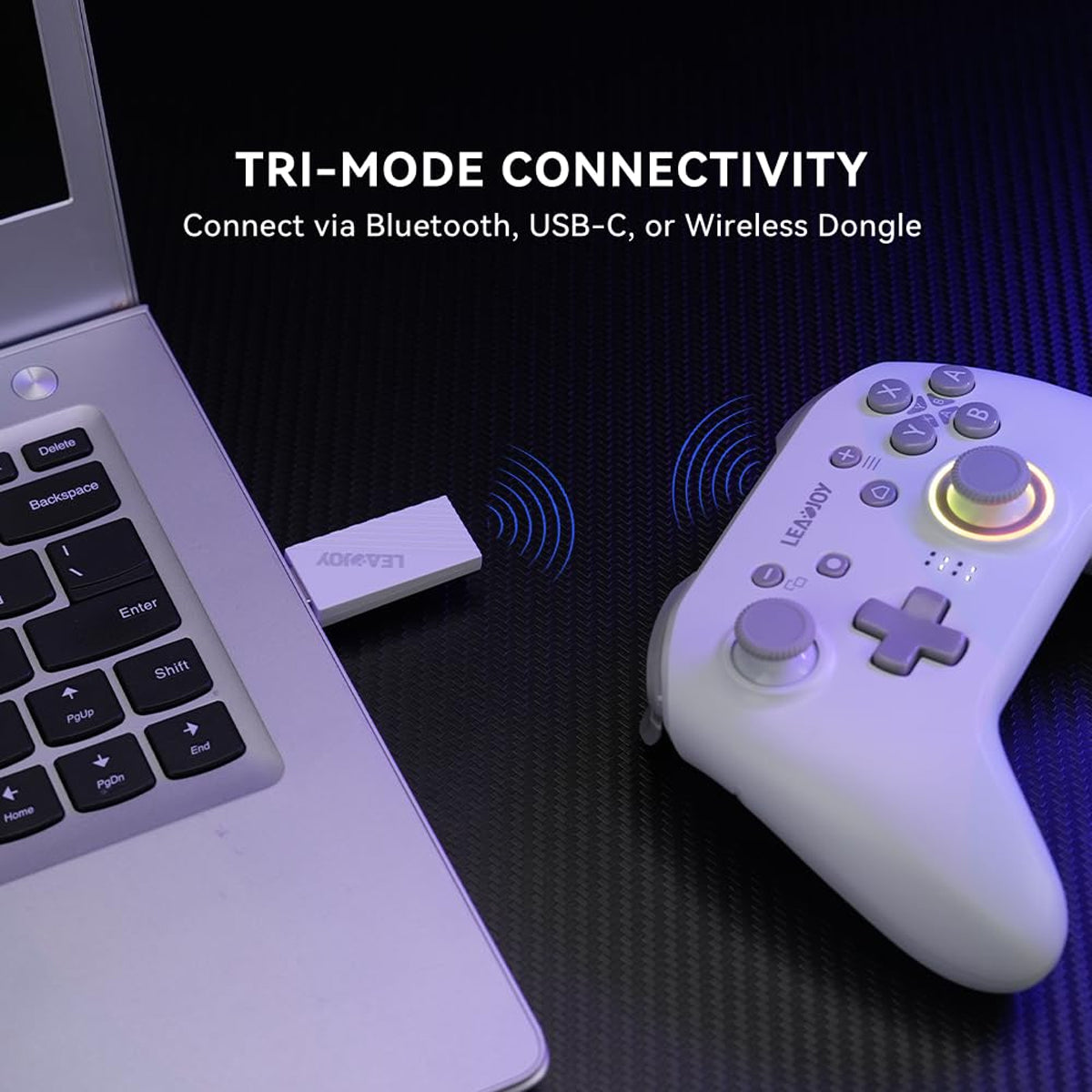 LeadJoy Z1 Lite Multi-Platform Wireless Game Controller for Switch/PC/Steam/iOS/Android