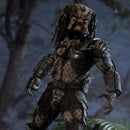 Museum Masterline Predator (Film) Jungle Hunter Predator DX Bonus Version Pre-Order Downpayment