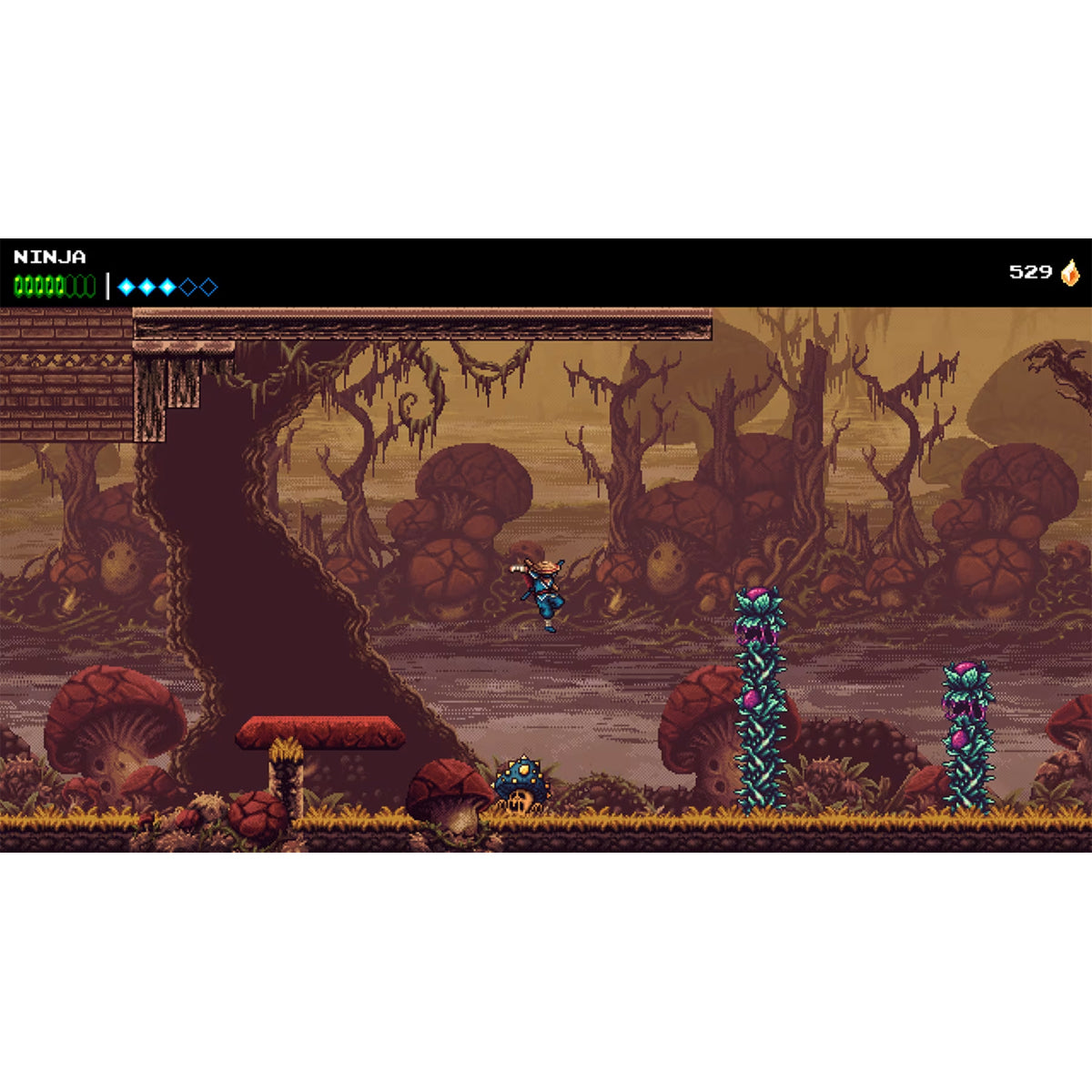 Nintendo Switch The Messenger (Eng/EU)