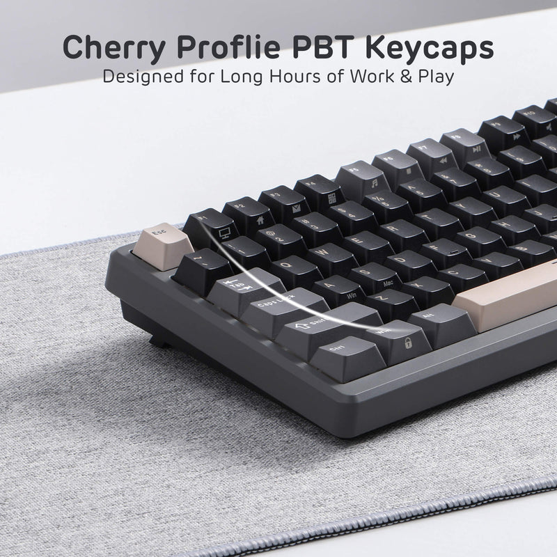 Royal Kludge RK-M75 Tri-Mode RGB 81 Keys Hot-Swappable Mechanical Keyboard Phantom (Blue Switch, Brown Switch, K Silver Switch)
