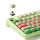 Akko x MonsGeek MG108B Watermelon Multi-Mode RGB Hot-Swappable Mechanical Keyboard