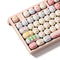 Akko x MonsGeek MG108B Piggy Party Multi-Mode RGB Hot-Swappable Mechanical Keyboard