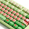 Akko x MonsGeek MG108B Watermelon Multi-Mode RGB Hot-Swappable Mechanical Keyboard