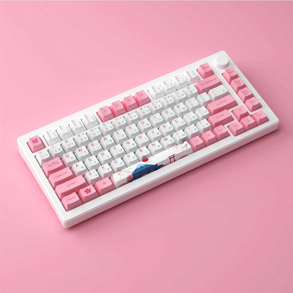 Akko MOD 007B HE PC Tri-Mode RGB Mechanical Keyboard (Tokyo R2) (Akko Cream Yellow Magnetic Switch)