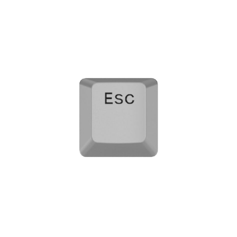 Royal Kludge PBT Dye Sublimation 1 Key (Gray) (Mini-10)