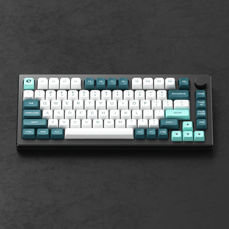 Akko MOD 007B HE DIY Kit With OSA Keycap Set 187-Key Black (Akko Cream Yellow Magnetic Switch)
