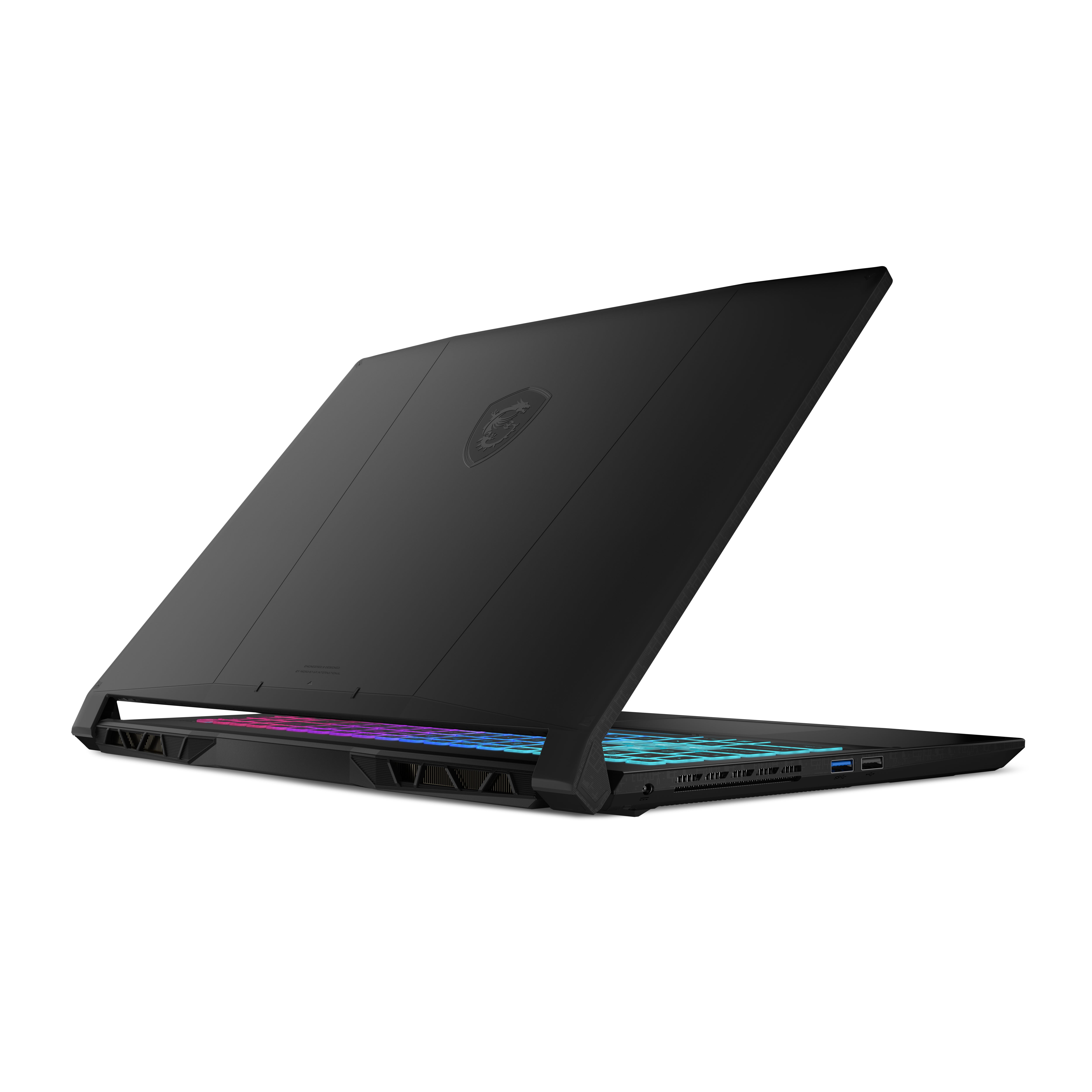 MSI Katana 15 B13VGK-2064PH Gaming Laptop (Black)